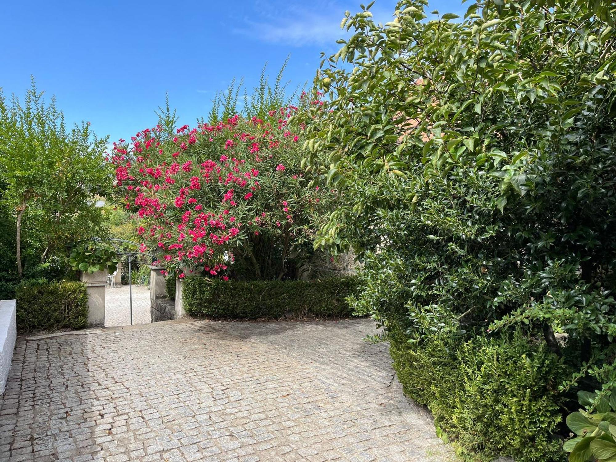 Quinta Santo Antonio Do Rio Villa Celorico Da Beira Exterior photo