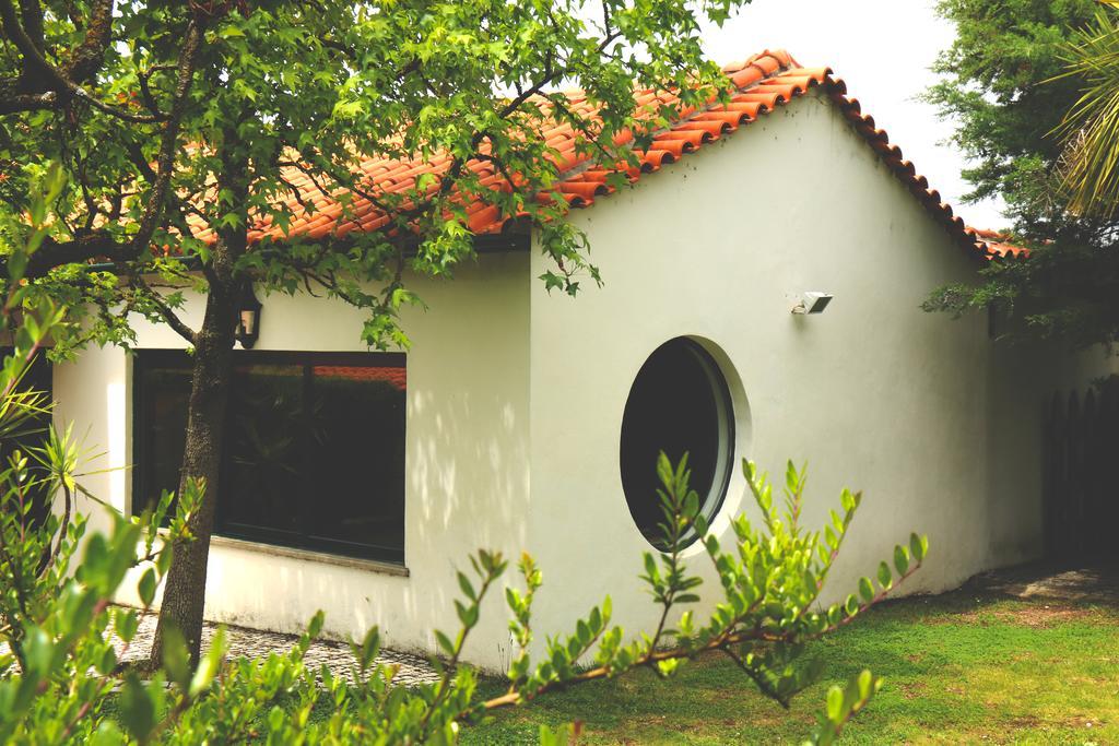 Quinta Santo Antonio Do Rio Villa Celorico Da Beira Exterior photo